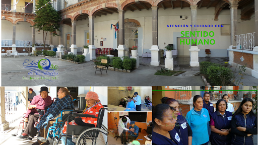 Edad De Oro De Los Abuelos San Judas Tadeo A.c.