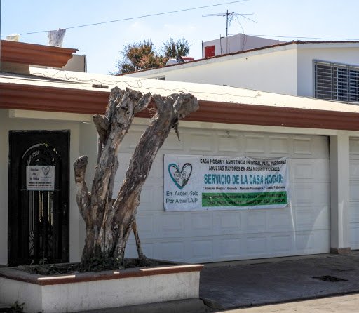 En Acción Solo Por Amor I.a.p.