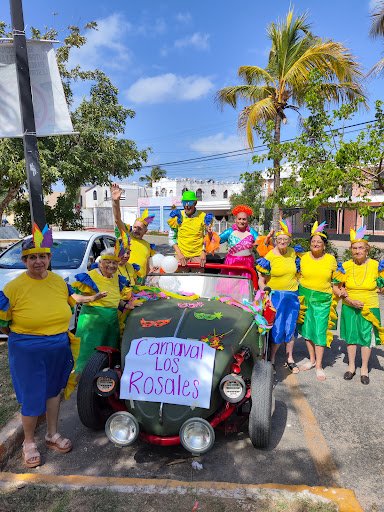 Residencia Y Centro De Día Para Adultos Mayores Los Rosales