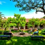 coyoacan